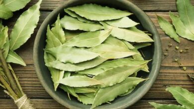 health benefits of bay leaf