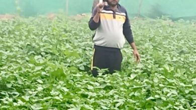 कड़ाके की ठंड और घने कोहरे से ठिठुरा जनजीवन
