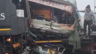 बस-ट्राला