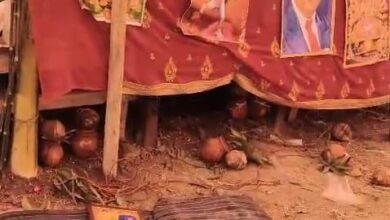भागवत में दबंगों का