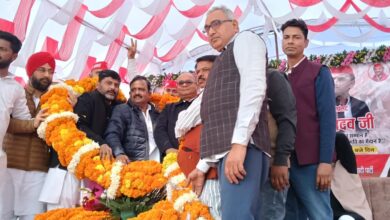 सांसद डिम्पल यादव