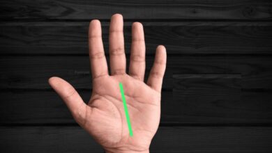 Palmistry Reading