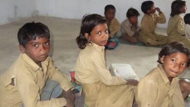 Anti-education policy