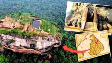 Sri Lanka tourism