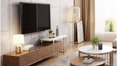 TV Vastu Tips