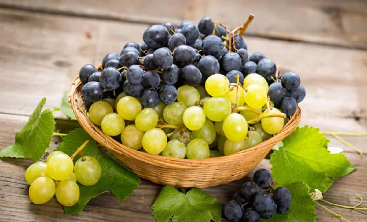 Health benefits of grapes
