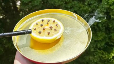 homemade mosquito repellent