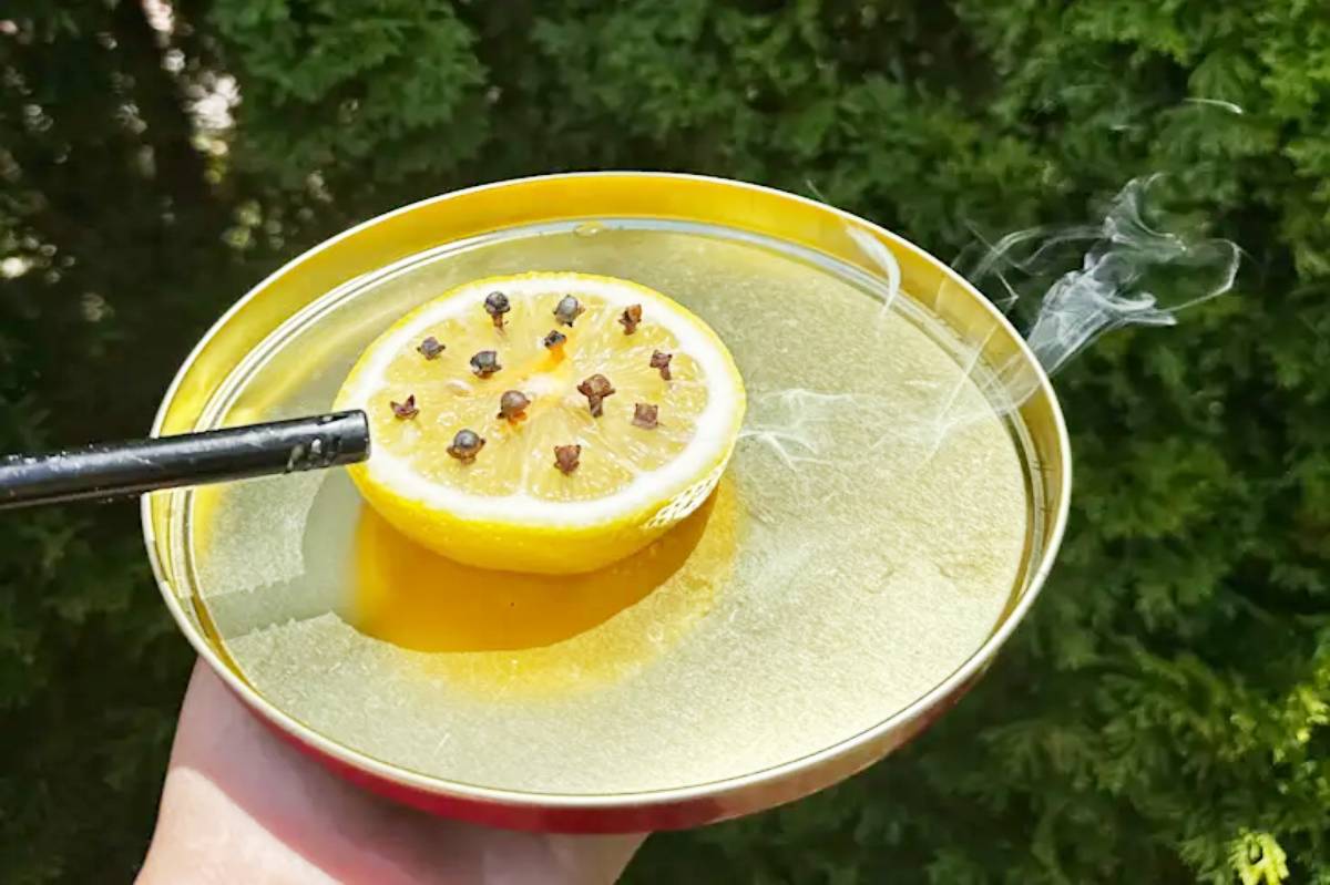 homemade mosquito repellent