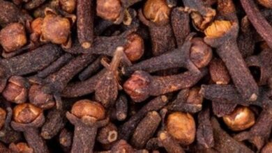 real vs fake cloves
