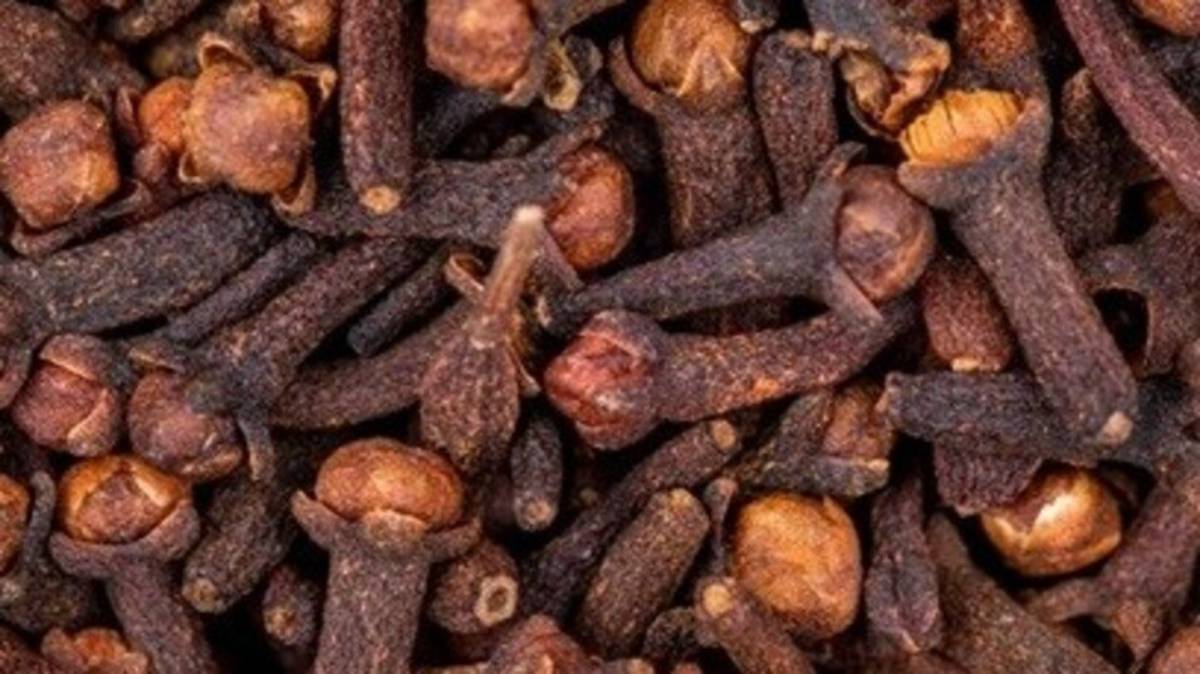 real vs fake cloves