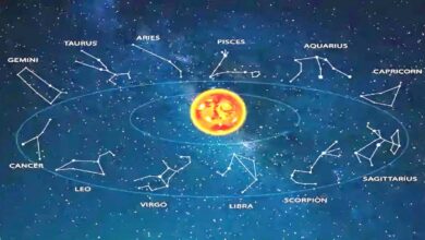 मीन संक्रांति 2026