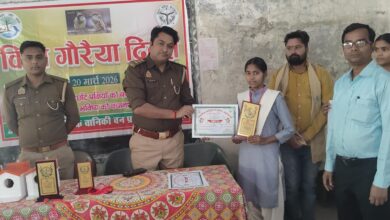 गौरैया सिर्फ पक्षी नहीं, बल्कि संस्कृति का हिस्सा