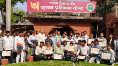 ग्रामीण युवा कौशल प्रशिक्षण