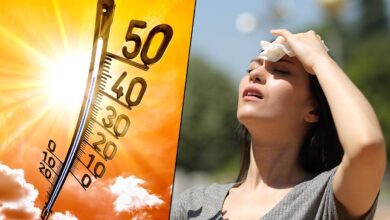 heatwave causes and effects