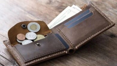 Vastu Remedies for Purse