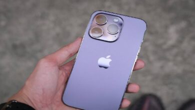 iPhone fraud news