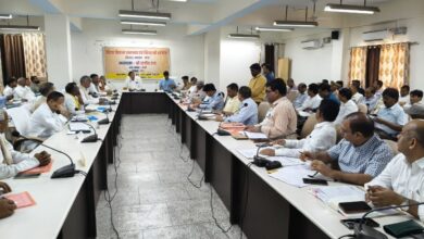 दिशा समिति