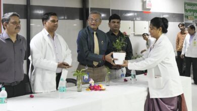 सैफई,इटावा