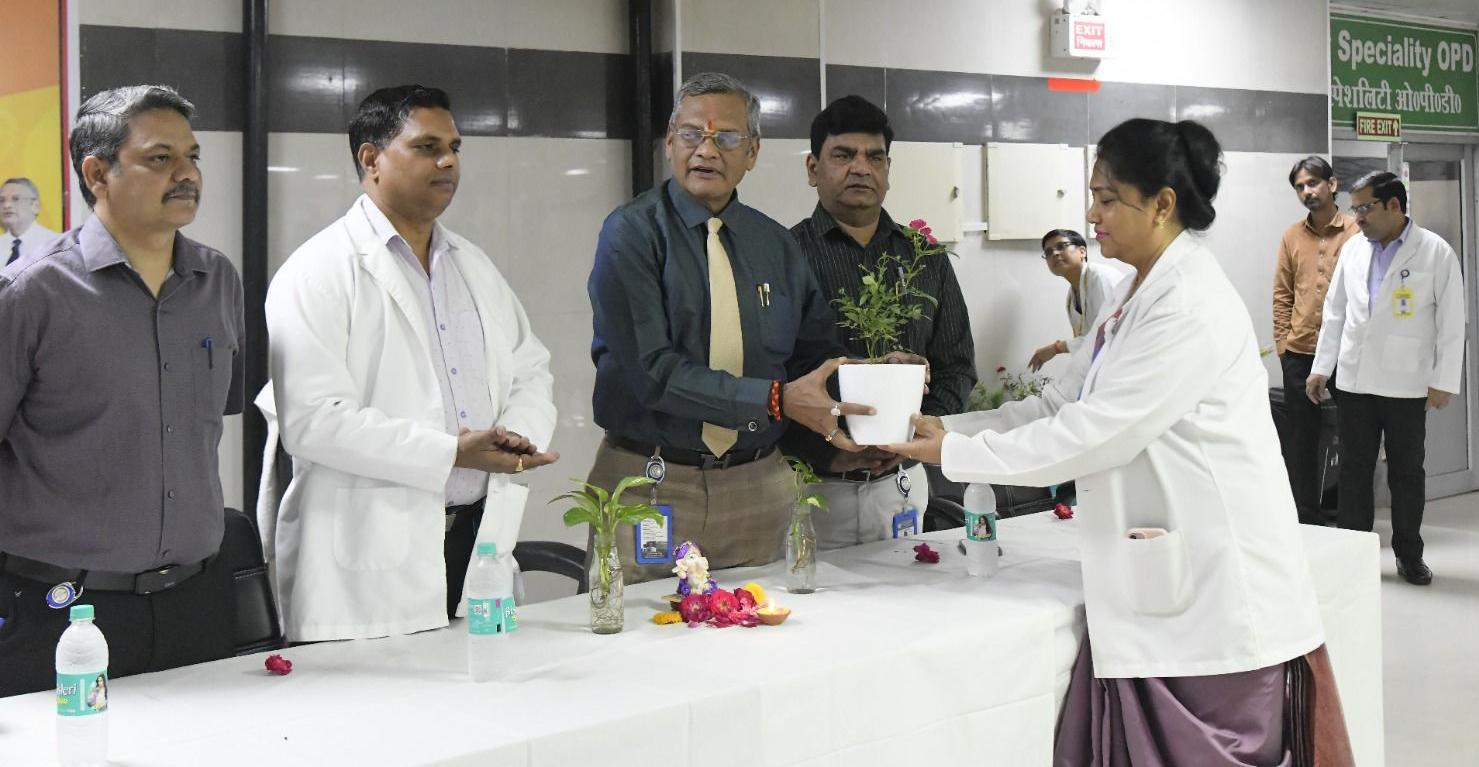 सैफई,इटावा