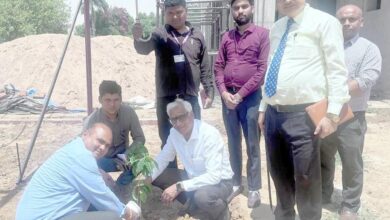 विश्व पृथ्वी दिवस: पृथ्वी के गहने हैं वृक्ष