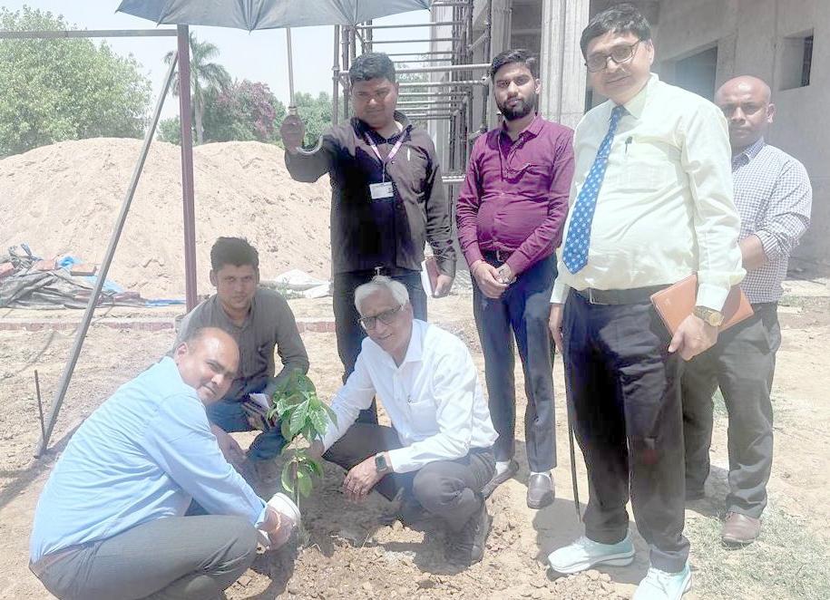 विश्व पृथ्वी दिवस: पृथ्वी के गहने हैं वृक्ष
