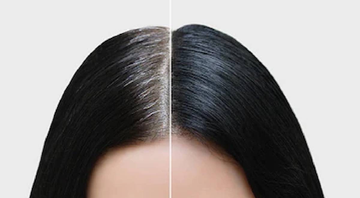 Natural Black Hair Dye Mehndi