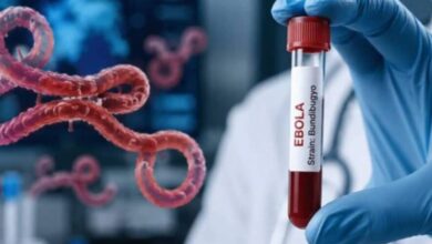 Ebola Virus Alert