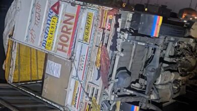 आवारा सांड से टकराकर पिकअप पलटी