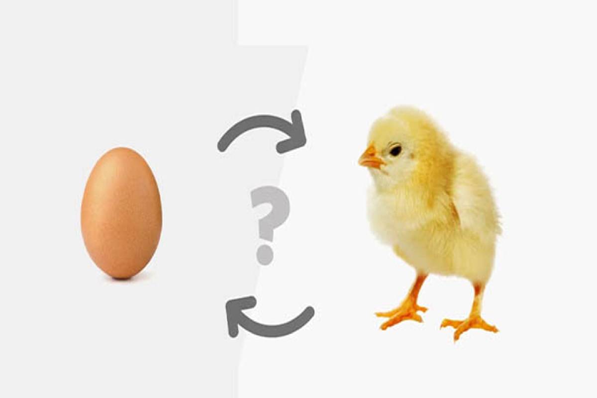 chicken or egg what came first