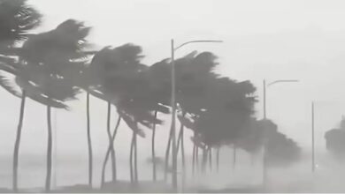 Weather Update Seaven June