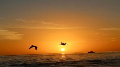 Vastu Tips After Sunset