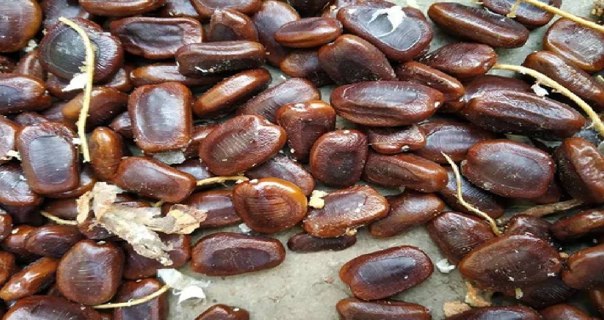 Benefits of tamarind