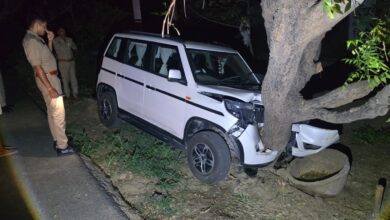 अनियंत्रित बोलेरो पेड़ से टकराई