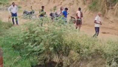 खेत में लगाए करंट की चपेट में आकर भैंस की मौत