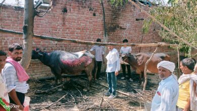 परसौआ में अचानक भड़की आग: ग्रामीणों ने पाया काबू