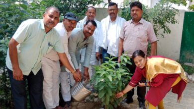 पर्यावरण दिवस और सीएम योगी