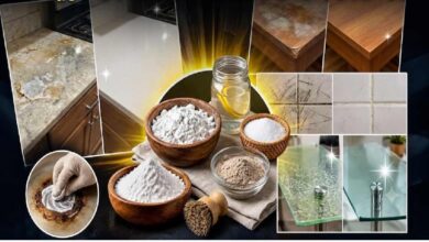 Homemade glass cleaner