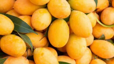 Mango Inspection Tips
