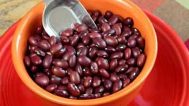 kidney beans nutrition facts
