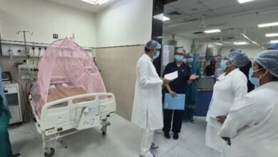 Chandipura virus Gujarat cases