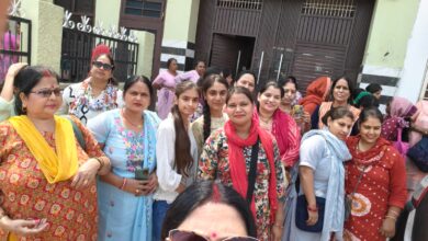 आशीष जैन और राखी शर्मा ने लाखों श्रद्धालुओं को कराए खाटू श्याम जी के दर्शन