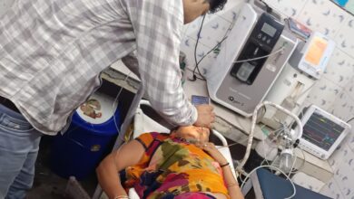 घर में घुसे सांप ने गृहिणी को डसा: सैफई रेफर