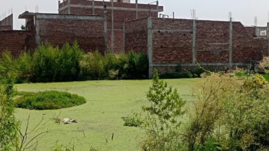 जल निकासी का अभाव: दो बीघा सरकारी भूमि बनी तालाब