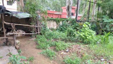 Rainwater Accumulates in the Block: Falls into a State of Disrepair