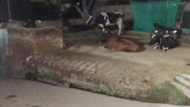 होलिका दहन स्थल पर अतिक्रमण का आरोप