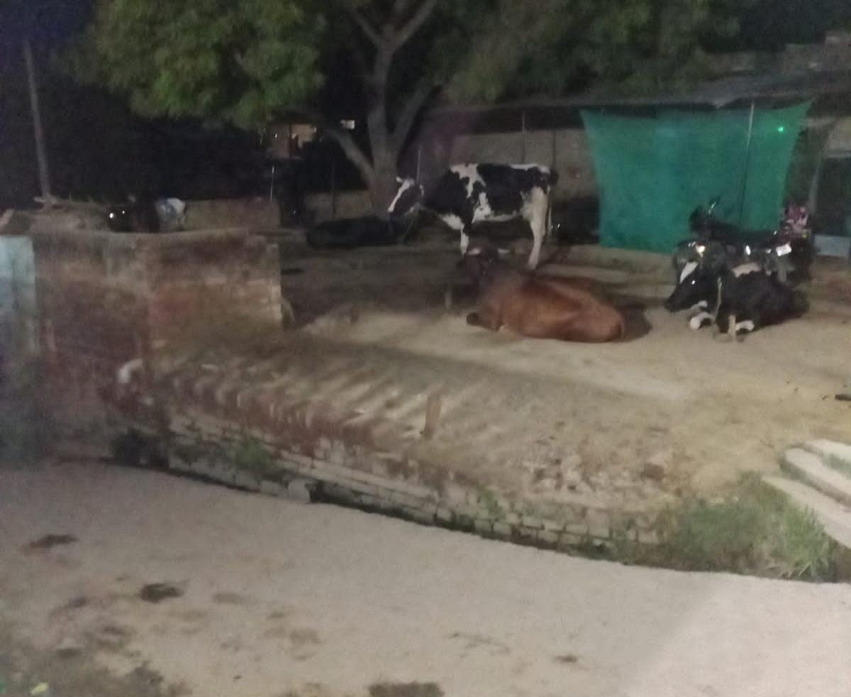 होलिका दहन स्थल पर अतिक्रमण का आरोप