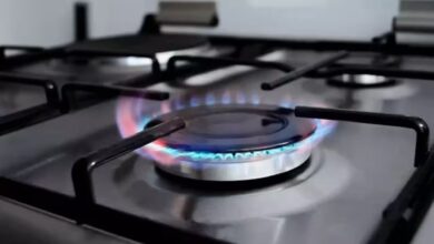 burner gas stove vastu