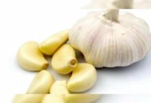 Garlic Health Benefits