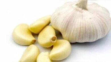 Garlic Health Benefits