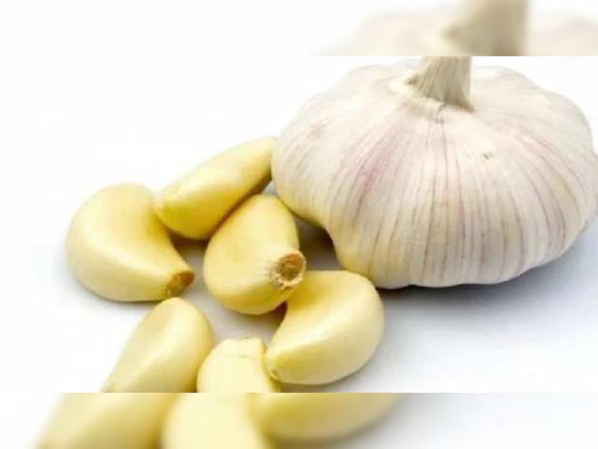 Garlic Health Benefits